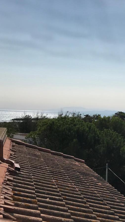 Vias Plage : Residence Securisee Bord De Mer Exteriér fotografie